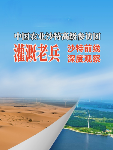 #华维沙特行 灌溉之于沙漠之城利雅得的现实意义 #灌溉不止于灌溉 #华维集团