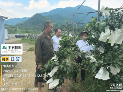 邓老师带队考察开发泰国红宝石基地。