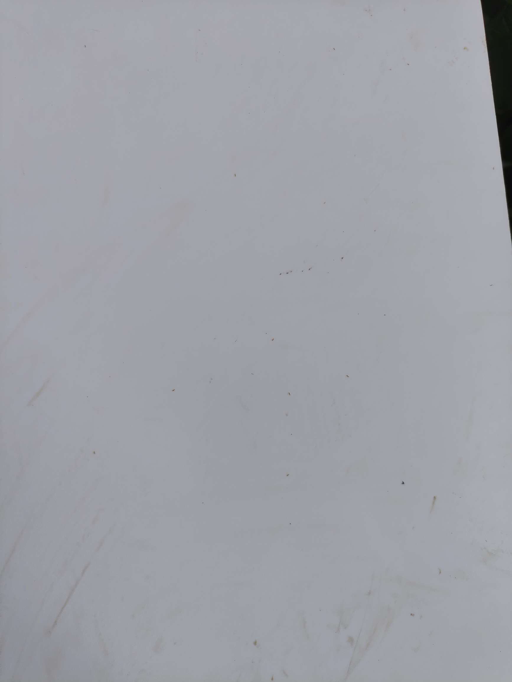 http://st-static1.jshwbz.com/forums/2025/08/18/17555288245629.jpeg