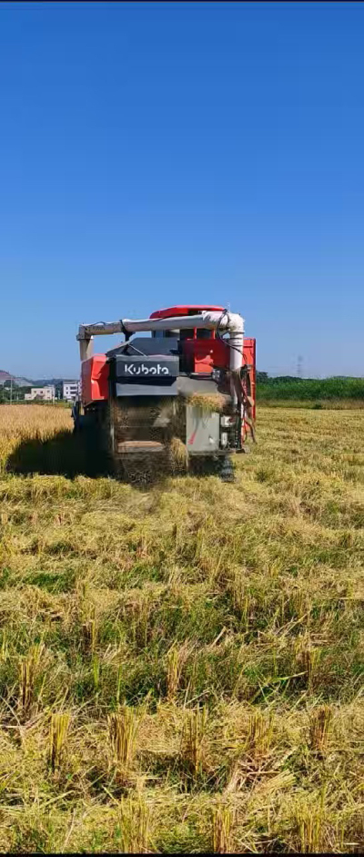 惠州基地，无人拖拉机收水稻了。