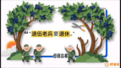 第7节：修剪决定产量（下）&mdash;&mdash;结果树的更新与疏果，课程：《蓝莓&ldquo;高产&rdquo;实战课：从选苗到丰收的10个关键点》