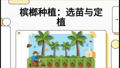 第01节：选苗与定植&mdash;&mdash;&ldquo;苗好一半收，底肥定千秋&rdquo;课程：《槟榔种植：从不懂到精通的10堂必修课》