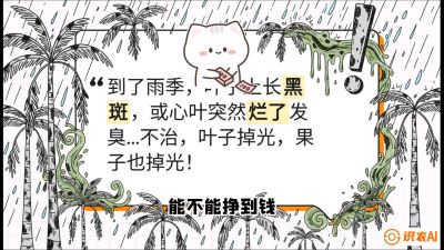 第05节：常见真菌病害&mdash;&mdash;&ldquo;炭疽与烂心，早防值千金&rdquo;《槟榔种植：从不懂到精通的10堂必修课》