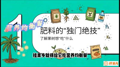 第07节：科学施肥&mdash;&mdash;&ldquo;氮磷钾配好，树壮果不倒