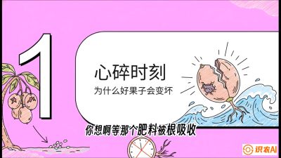 第08节：微量元素与保果&mdash;&mdash;&ldquo;补硼又补钙，果子不裂坏&rdquo;《槟榔种植：从不懂到精通的10堂必修课》