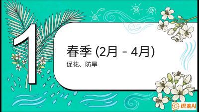 第10节：周年农事日历&mdash;&mdash;&ldquo;跟着节气走，丰产在手头&rdquo;《槟榔种植：从不懂到精通的10堂必修课》