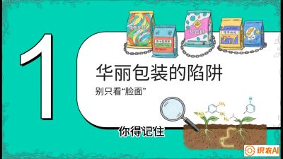 第4节：【黄金配方】底肥里的&ldquo;铁三角&rdquo;与&ldquo;微量雷区&rdquo;课程：《柑橘底肥&ldquo;翻身账&rdquo;：从改土到高产的实战全书》