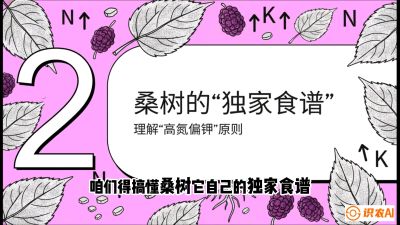 第04节：地下核动力&mdash;&mdash;桑树专用水肥一体化配方，课程：《桑海淘金：桑树高产与蚕桑安全进阶实战课》