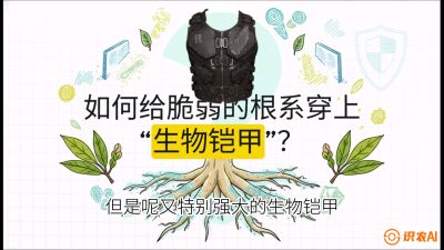 第三节：国产榴莲突围战：根系堡垒，菌根微生态构建与黄金定植窗口，课程：《国产榴莲突围战：从泰国经验到中国实操的8堂必修课（高阶实战版）》