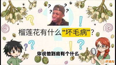 第六节：榴莲的午夜战事，夜间授粉战与花果期避雨策略，课程：《国产榴莲突围战：从泰国经验到中国实操的8堂必修课（高阶实战版）》