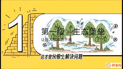 第七节：榴莲防御战：病虫害三级立体防控，疫霉菌与虫害的立体封锁线，课程：《国产榴莲突围战：从泰国经验到中国实操的8堂必修课（高阶实战版）》