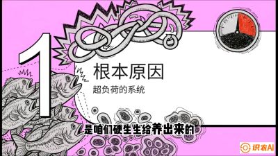 第三节：【爆款单品&middot;加州鲈】从&ldquo;玻璃鱼&rdquo;到&ldquo;摇钱树&rdquo;的通关秘籍，课程：《黄金鳞甲：2025中国淡水鱼高效养殖实战营》