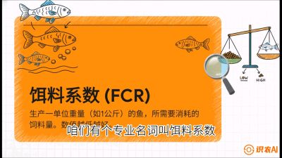 第五节：【高端单品&middot;鳜鱼】&ldquo;饲料鳜&rdquo;技术：打破吃活饵的高成本魔咒，课程：《黄金鳞甲：2025中国淡水鱼高效养殖实战营》