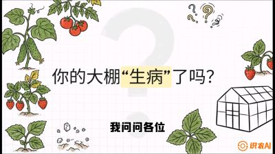 第2节（解毒篇）： 大棚里的&ldquo;红白绿&rdquo;警报&mdash;&mdash;读懂土壤盐渍化的求救信号，课程：《揭秘土壤的秘密：让土地帮你赚钱》#识农AI