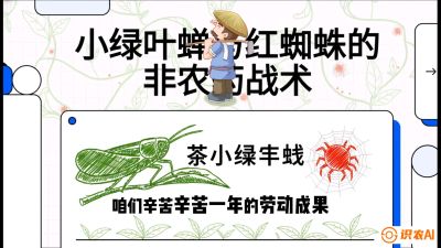 第03节（虫害篇）：看不见的吸血鬼：小绿叶蝉与红蜘蛛的&ldquo;非农药&rdquo;团灭战术（抗性治理），课程：《茶金时代：从&ldquo;看天吃饭&rdquo;到&ldquo;精准控局&rdquo;的茶叶高产提质实战课》