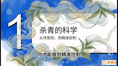 第05节（加工篇）：决胜2分钟：用&ldquo;数字温控&rdquo;破解杀青不匀，复刻大师级手工口感，课程：《茶金时代：从&ldquo;看天吃饭&rdquo;到&ldquo;精准控局&rdquo;的茶叶高产提质实战课》