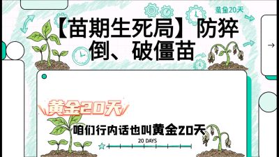 第2节：【苗期生死局】防猝倒、破僵苗，决定后期产量的&ldquo;黄金20天&rdquo;，课程：《辣椒种植实战特训营，从工业辣椒到精品小米辣，教你如何把&ldquo;草&rdquo;种成&ldquo;金&rdquo;》