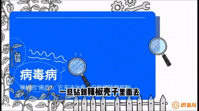 第5节：【病毒病阻击】辣椒的&ldquo;癌症&rdquo;怎么治？从&ldquo;绝收恐慌&rdquo;到&ldquo;带毒生产&rdquo;的逆转术，课程：《辣椒种植实战特训营，从工业辣椒到精品小米辣，教你如何把&ldquo;草&rdquo;种成&ldquo;金&rdquo;》