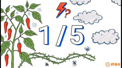 第6节：【花果爆发术】落花落果的五大元凶，与&ldquo;三喷一保&rdquo;坐果黑科技，课程：《辣椒种植实战特训营，从工业辣椒到精品小米辣，教你如何把&ldquo;草&rdquo;种成&ldquo;金&rdquo;》