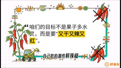 第7节：【工业辣椒专场】追求极致辣度！干物质提升与机械化采收的&ldquo;催红秘籍&rdquo;，课程：《辣椒种植实战特训营，从工业辣椒到精品小米辣，教你如何把&ldquo;草&rdquo;种成&ldquo;金&rdquo;》