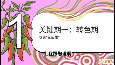 第8节：【小米辣线椒专场】颜值即正义！防花皮、防炭疽，打造收购商抢着要的&ldquo;精品果&rdquo;，课程：《辣椒种植实战特训营，从工业辣椒到精品小米辣，教你如何把&ldquo;草&rdquo;种成&ldquo;金&rdquo;》