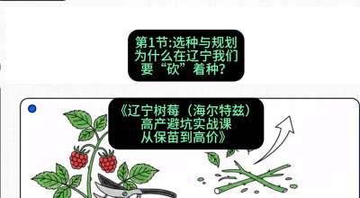 第一节： 选种与规划&mdash;&mdash;为什么在辽宁我们要&ldquo;砍&rdquo;着种？，课程：《辽宁树莓（海尔特兹）高产避坑实战课：从保苗到高价》