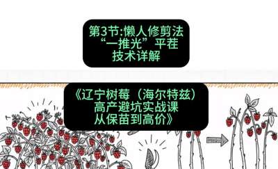 第三节： 懒人修剪法&mdash;&mdash;&ldquo;一推光&rdquo;平茬技术详解，课程：《辽宁树莓（海尔特兹）高产避坑实战课：从保苗到高价》