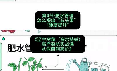 第四节： 肥水管理&mdash;&mdash;怎么喂出&ldquo;石头果&rdquo;（硬度提升），课程：《辽宁树莓（海尔特兹）高产避坑实战课：从保苗到高价》