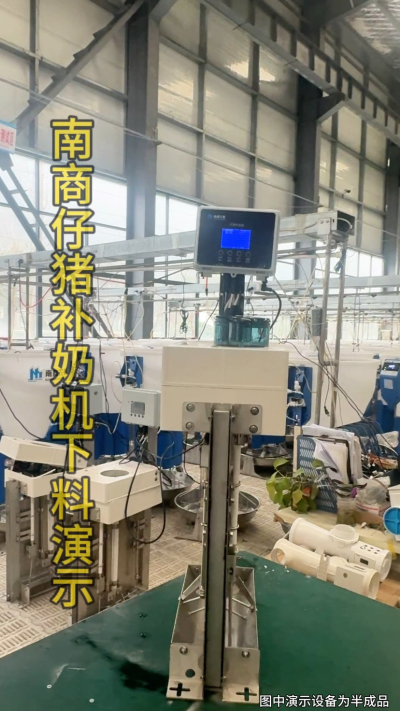 小猪抢不到奶，干瘦不长肉？成活率总上不去？😭
自从用上南商农科这款仔猪补奶机，再也没这烦恼！
✅ 一键设置下料参数，新手也能上手
✅ 恒温补奶，小猪抢着喝，长势超均匀
从车间精工组装到猪场落地使用，每