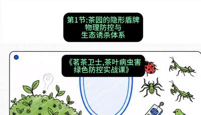 第01节：茶园的&ldquo;隐形盾牌&rdquo;&mdash;&mdash;物理防控与生态诱杀体系，课程：《茗茶卫士&mdash;&mdash;茶叶病虫害绿色防控实战课》#识农AI