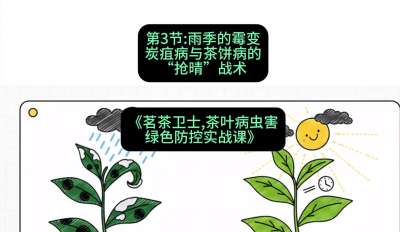 第03节：雨季的霉变&mdash;&mdash;炭疽病与茶饼病的&ldquo;抢晴&rdquo;战术，课程：《茗茶卫士&mdash;&mdash;茶叶病虫害绿色防控实战课》#识农AI