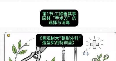 第01节：工欲善其事&mdash;&mdash;园林&ldquo;手术刀&rdquo;的选择与消毒，课程：《景观树木&ldquo;整形外科&rdquo;造型实战特训营》#识农AI