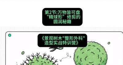 第02节：万物皆可盘&mdash;&mdash;&ldquo;精球形&rdquo;修剪的圆润秘籍，课程：《景观树木&ldquo;整形外科&rdquo;造型实战特训营》#识农AI