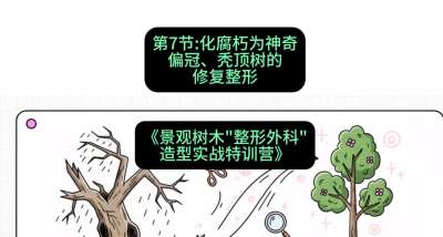 第07节：化腐朽为神奇&mdash;&mdash;偏冠、秃顶树的修复整形，课程：《景观树木&ldquo;整形外科&rdquo;造型实战特训营》#识农AI