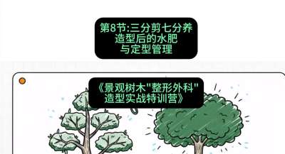 第08节：三分剪七分养&mdash;&mdash;造型后的水肥与定型管理，课程：《景观树木&ldquo;整形外科&rdquo;造型实战特训营》#识农AI