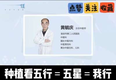 中药材淫羊藿怎么种？听专家一次讲明白！不挑地块好管理，耐寒耐旱省心省力，新手也能轻松上手，药用价值高、市场需求稳，妥妥的增收好品种～ 从生长习性到采收要点，干货满满无废话，种植疑问直接问，一对一答疑解
