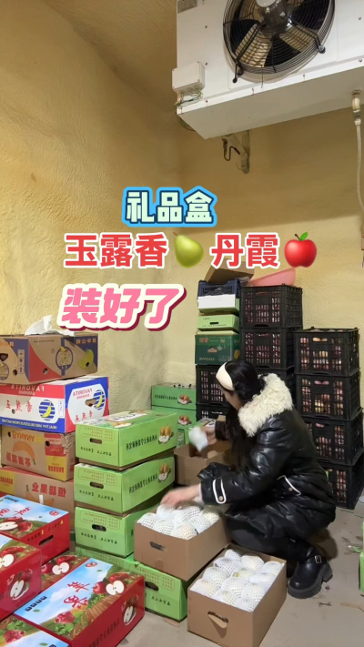 玉露香梨，丹霞苹果礼品盒