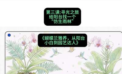 第三节：寻光之旅：给阳台找一个&ldquo;仿生雨林&rdquo;，课程：《蝴蝶兰雅养六讲：从阳台小白到园艺达人》#识农AI