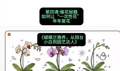 第四节：催花秘籍：如何让&ldquo;一次性花&rdquo;年年复花，课程：《蝴蝶兰雅养六讲：从阳台小白到园艺达人》#识农AI