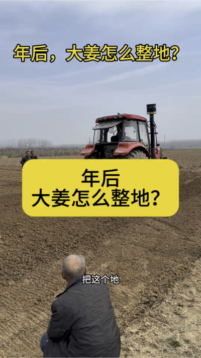 年后，大姜怎么整地？