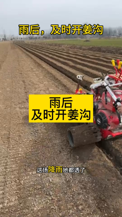 雨后，及时开姜沟！