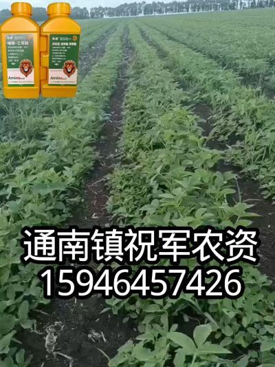 大豆苗前封闭，可封红根苋菜，灰菜，兰花菜，野豆子，捞豆秧等恶性杂草，封杀兼备的高端产品。