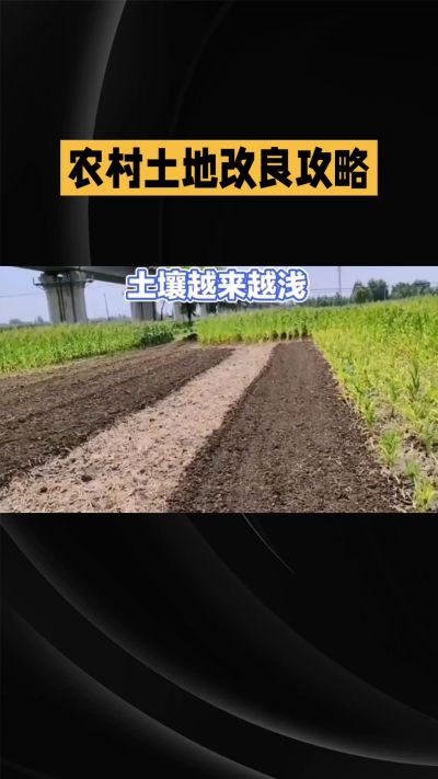 1. 先搞懂：你到底要改良哪块地、种什么
 
- 土土土在哪里？
就是你自家农田、菜地、果园，哪块地想种庄稼，就测哪块地的土。
​
- 有水没有水？
有水能浇：改良更省事，施肥、调酸碱都好操作。
没水