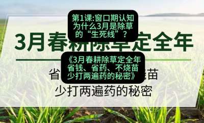 第1节：窗口期认知，为什么3月是除草的&ldquo;生死线&rdquo;？，课程：《3月春耕除草定全年：省钱、省药、不烧苗、少打两遍药的秘密》